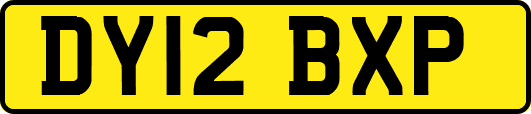 DY12BXP