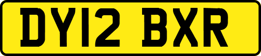 DY12BXR