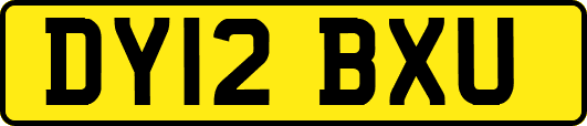 DY12BXU