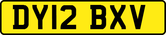 DY12BXV