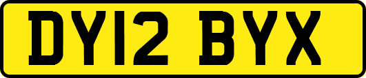 DY12BYX
