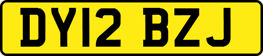 DY12BZJ