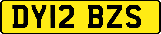 DY12BZS