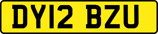 DY12BZU