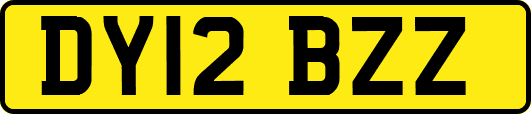 DY12BZZ