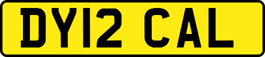 DY12CAL