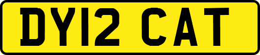 DY12CAT