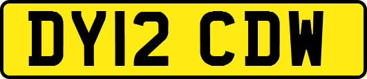 DY12CDW