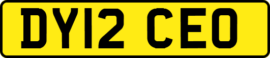 DY12CEO