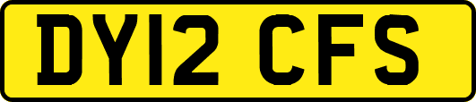 DY12CFS