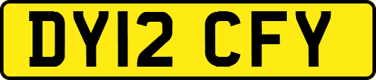 DY12CFY