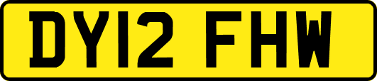 DY12FHW
