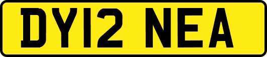 DY12NEA