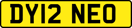 DY12NEO