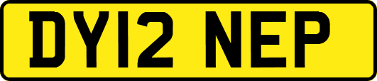 DY12NEP