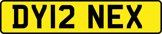 DY12NEX