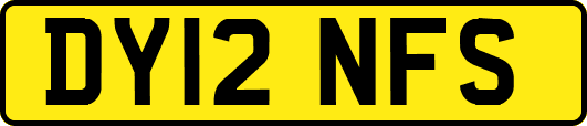 DY12NFS