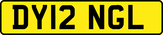 DY12NGL
