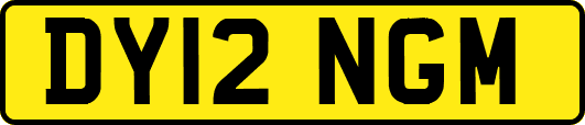 DY12NGM