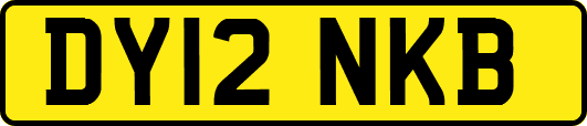 DY12NKB