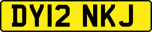 DY12NKJ