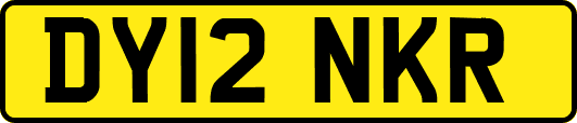 DY12NKR