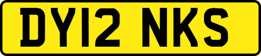 DY12NKS