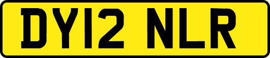 DY12NLR