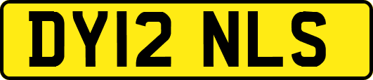 DY12NLS