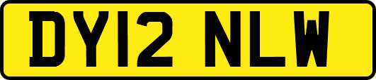 DY12NLW
