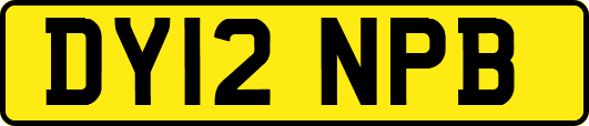 DY12NPB