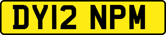 DY12NPM