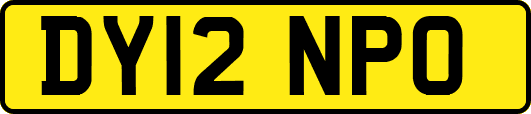 DY12NPO
