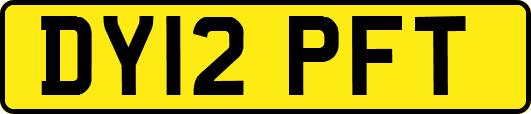 DY12PFT