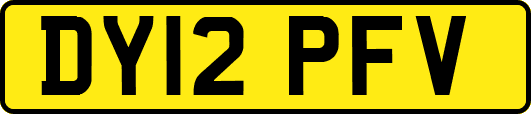 DY12PFV