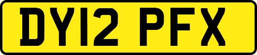 DY12PFX