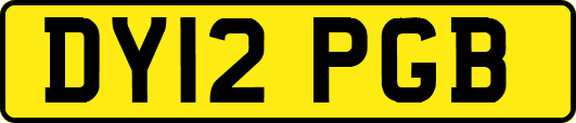 DY12PGB