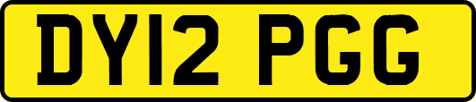 DY12PGG