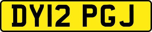 DY12PGJ