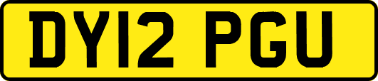 DY12PGU