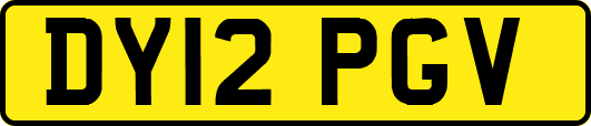 DY12PGV