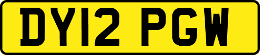 DY12PGW