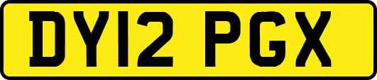 DY12PGX