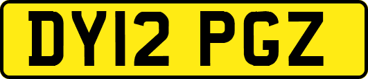 DY12PGZ