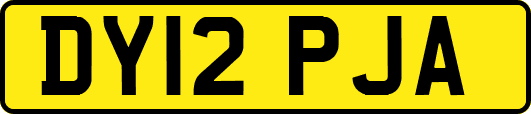 DY12PJA