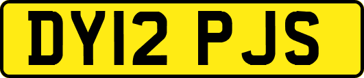 DY12PJS