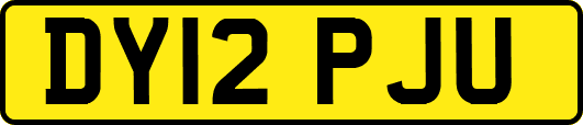 DY12PJU
