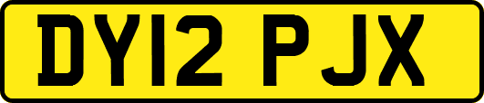 DY12PJX