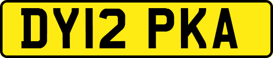 DY12PKA