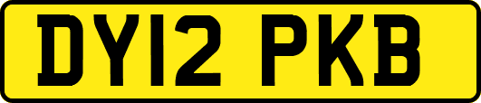 DY12PKB